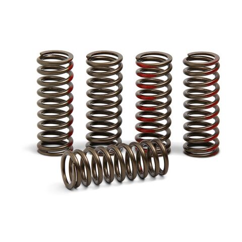 Pro Circuit Clutch Springs