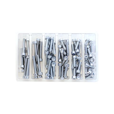 Bolt Hardware Socket Head Allen Assortment