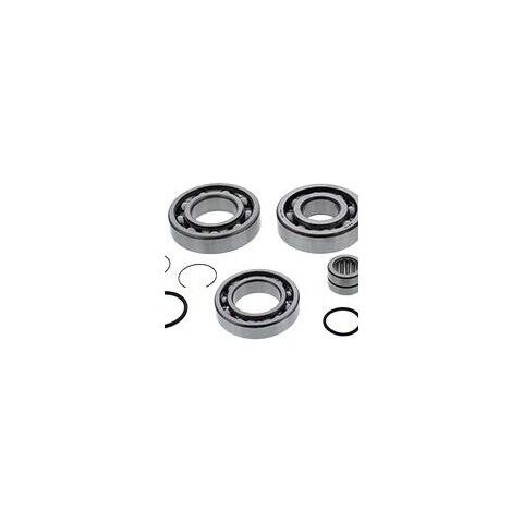 All Balls Racing Rear Differential Bearing And Seal Kit Kawasaki Kodiak 700 2016-2022
