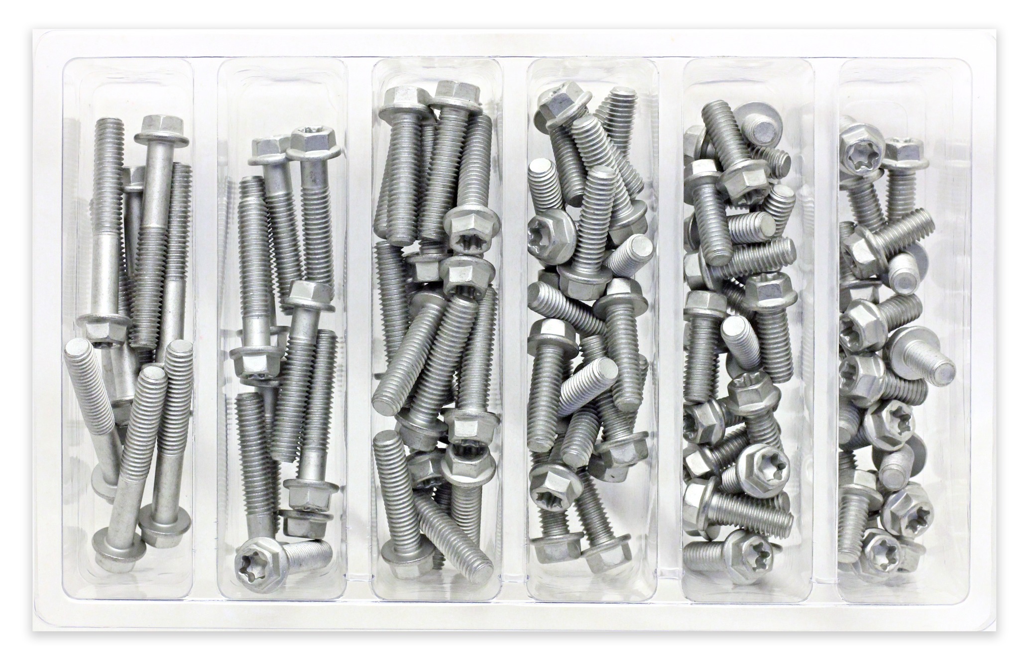 Bolt Hardware M6 Euro Torx Flange Bolt Assortment 100 Piece Kit Cycle