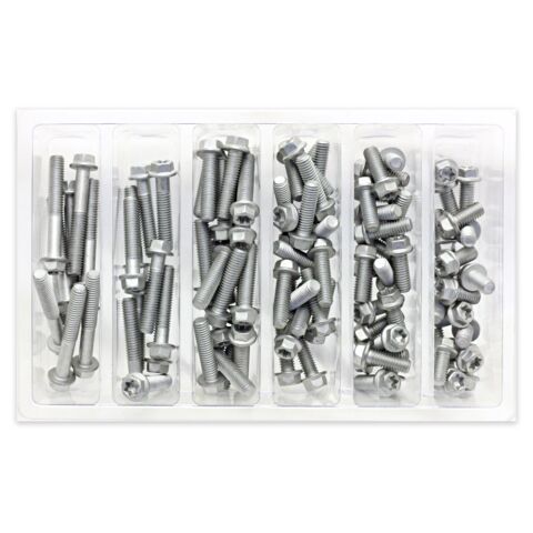 Bolt Hardware M6 Euro Torx Flange Bolt Assortment 100 Piece Kit