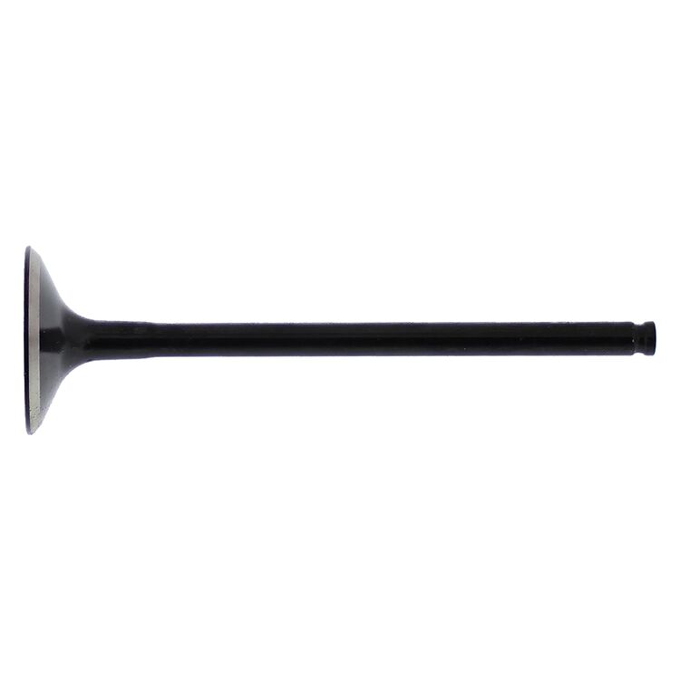 Hot Cams Steel Exhaust Valve