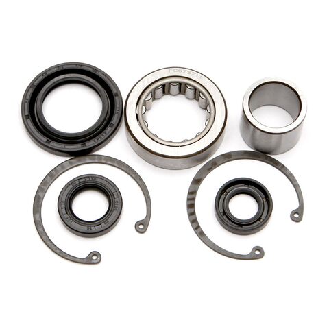 All Balls Racing Inner Primary Bearing And Seal Kit For Harley Big Twin 1989-2006