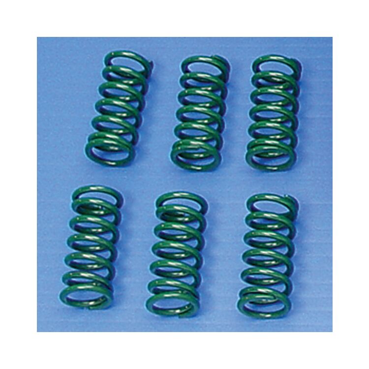 EBC CSK24 Clutch Spring Kit