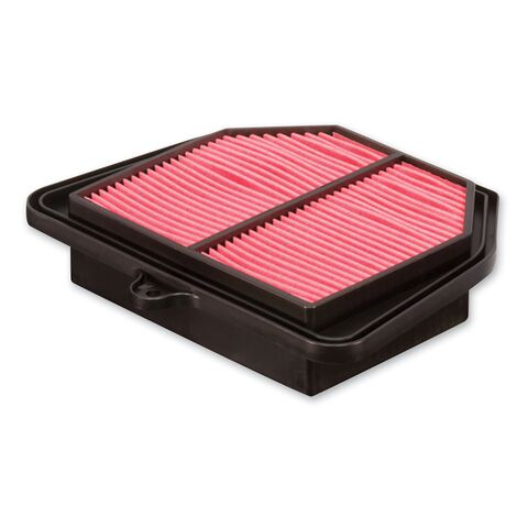 HiFloFiltro Air Filter HFA4917 