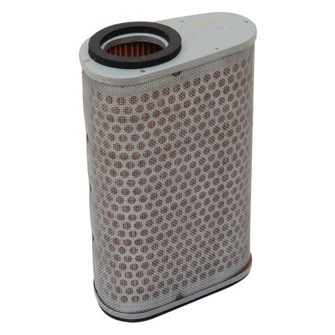 HiFloFiltro Air Filter HFA1929 