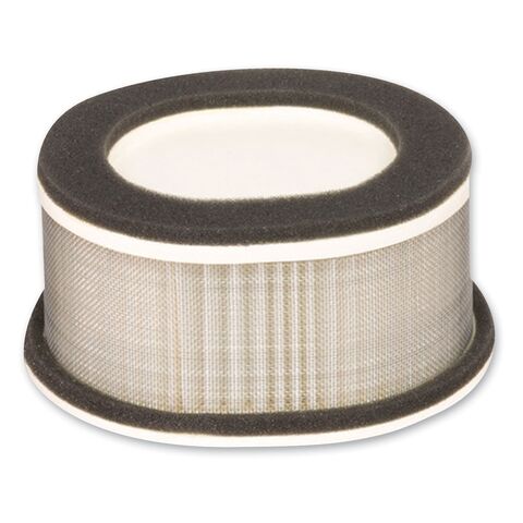 HiFloFiltro Air Filter HFA4911 