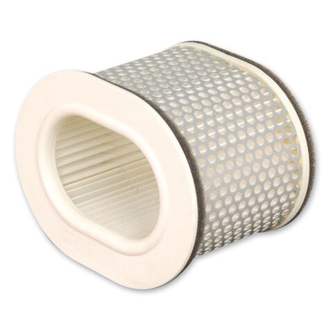 HiFloFiltro Air Filter HFA4902 