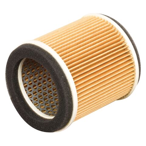 HiFloFiltro Air Filter HFA2910 