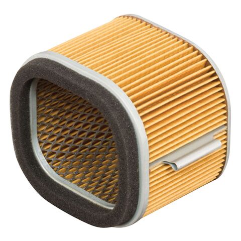 HiFloFiltro Air Filter HFA2903
