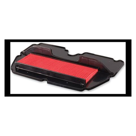 HiFloFiltro Air Filter HFA1901 