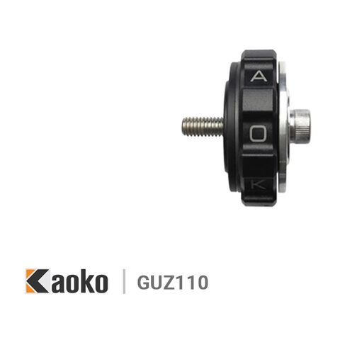 Kaoko Throttle Stabilizer Moto Guzzi California / Eldorado 2013-2020