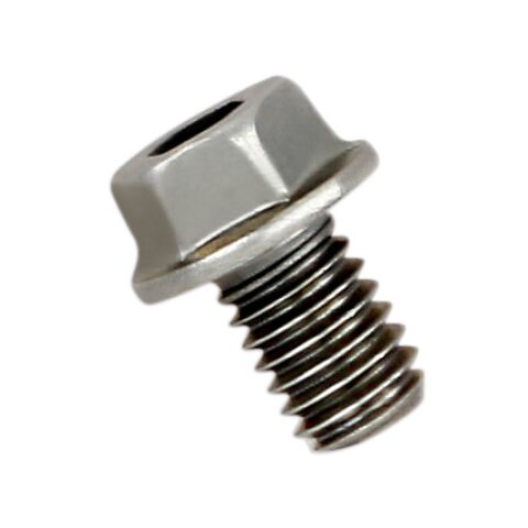 Akrapovic Replacement Bolt