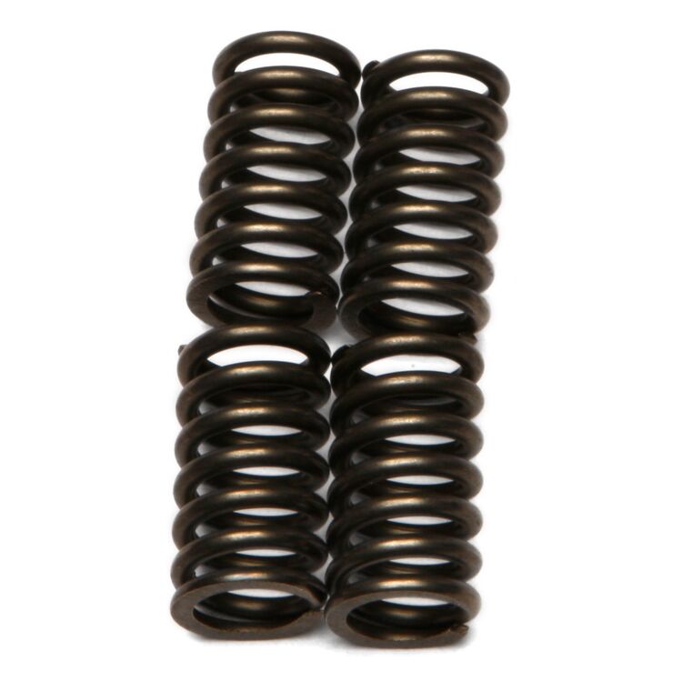 EBC CSK115 Clutch Spring Kit