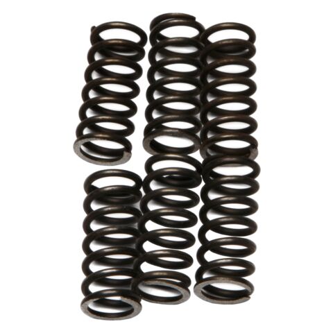 EBC CSK46 Clutch Spring Kit
