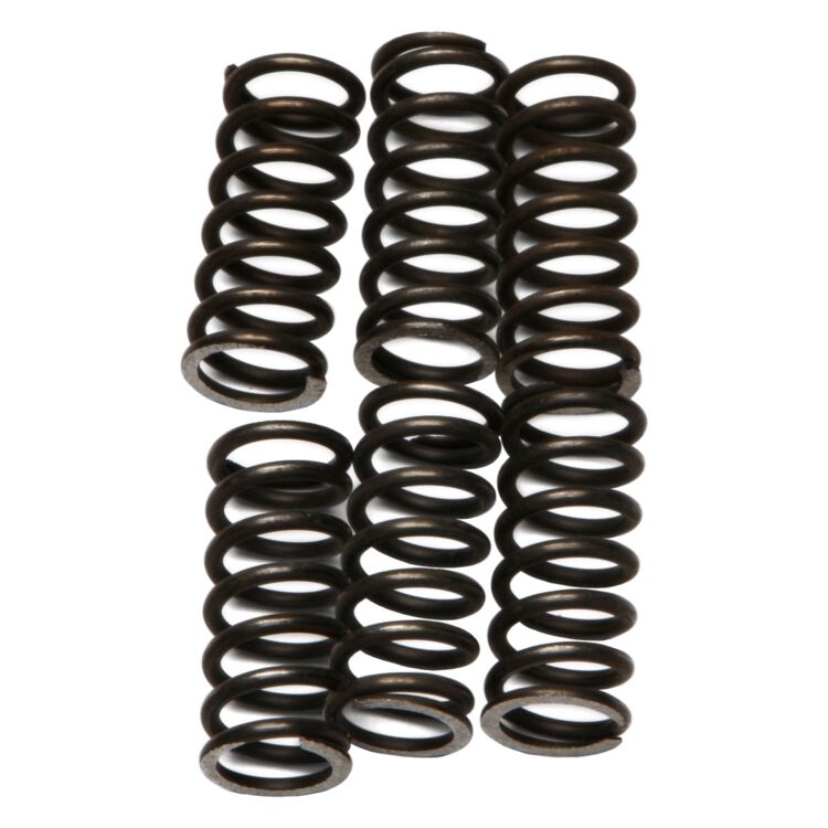 EBC CSK46 Clutch Spring Kit