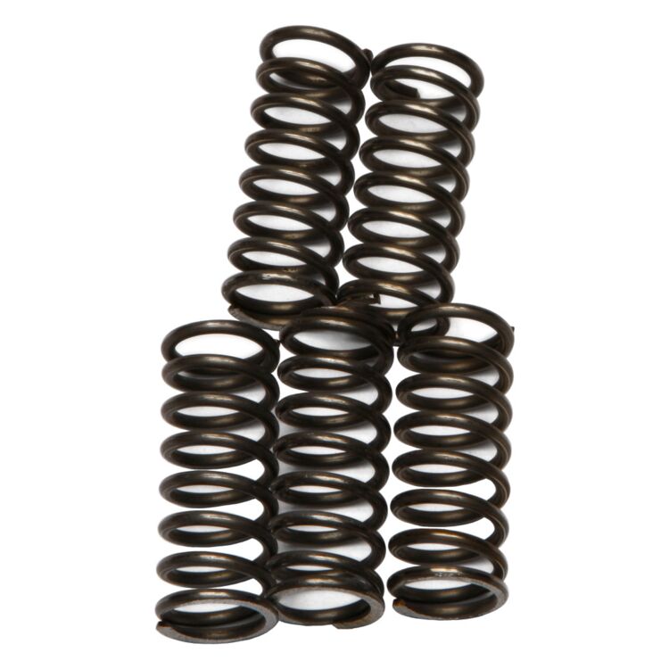 EBC CSK66 Clutch Spring Kit