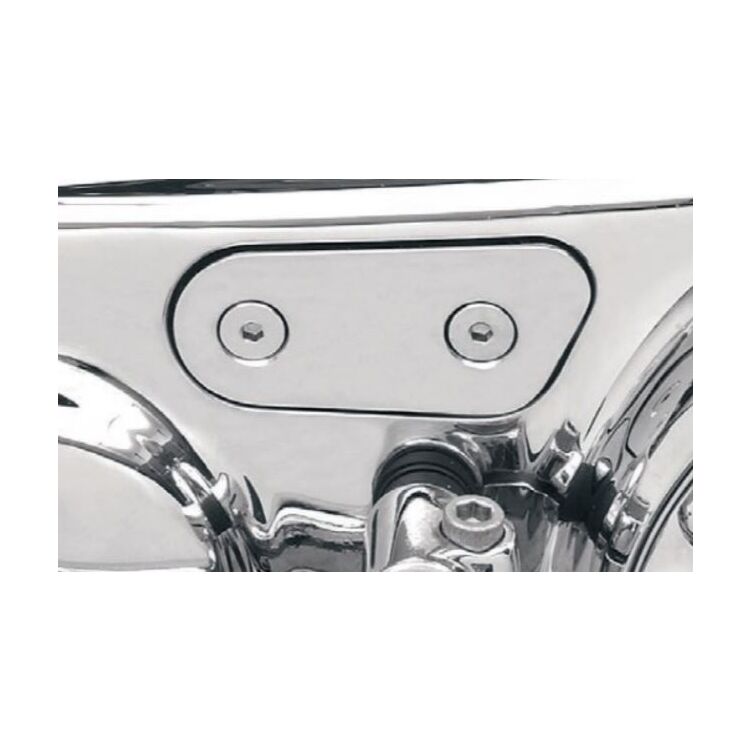 Chrome