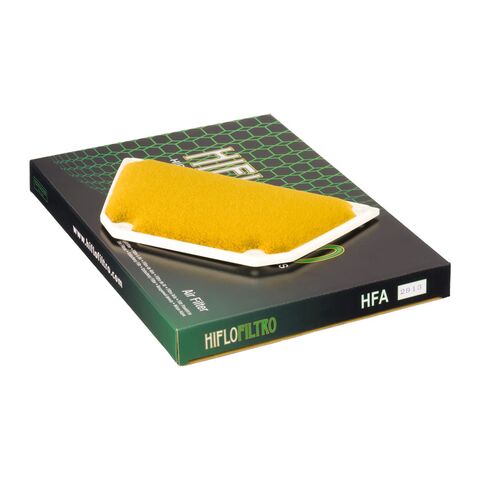 HiFloFiltro Air Filter HFA2913