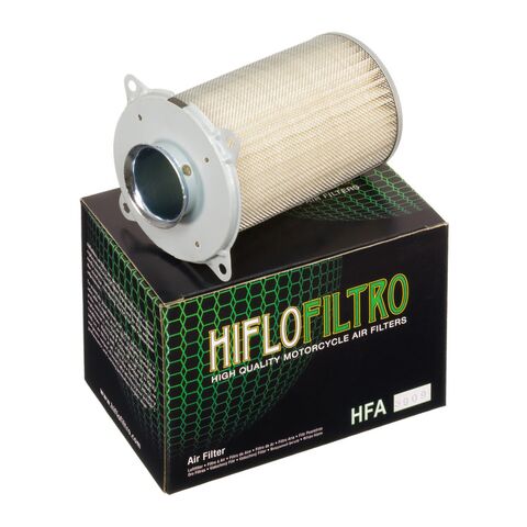 HiFloFiltro Air Filter HFA3909