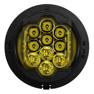 HogWorkz Goldtooth 7