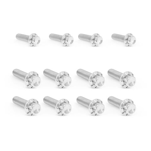 Arlen Ness 12-Point Titanium Transmission Side Cover & Trap Door Bolt Kit For Harley M8 2018-2026