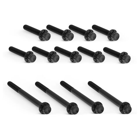 Arlen Ness 12-Point Titanium Primary Bolt Kit For Harley