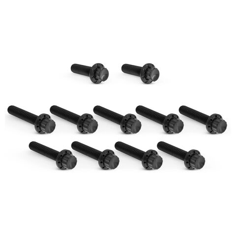 Arlen Ness 12-Point Titanium Cam & Point Cover Bolt Kit For Harley 2023-2026