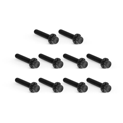 Arlen Ness 12-Point Titanium Cam Cover Bolt Kit For Harley 1999-2017