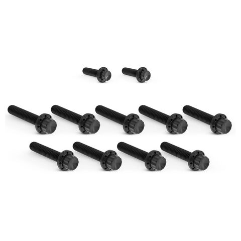 Arlen Ness 12-Point Titanium Cam & Point Cover Bolt Kit For Harley