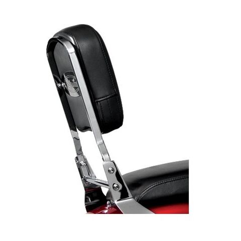 National Cycle Paladin Backrest With Pad [Previously Installed]