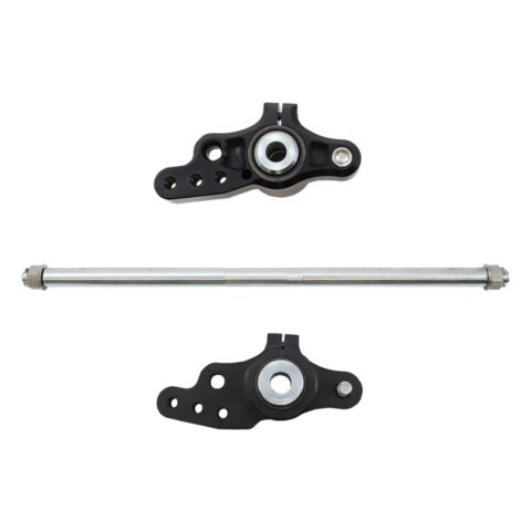 Custom Cycle Engineering Mad Dog Mounting System For Harley