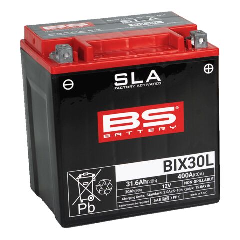 BS Battery BIX30L SLA Factory-Activated AGM Battery