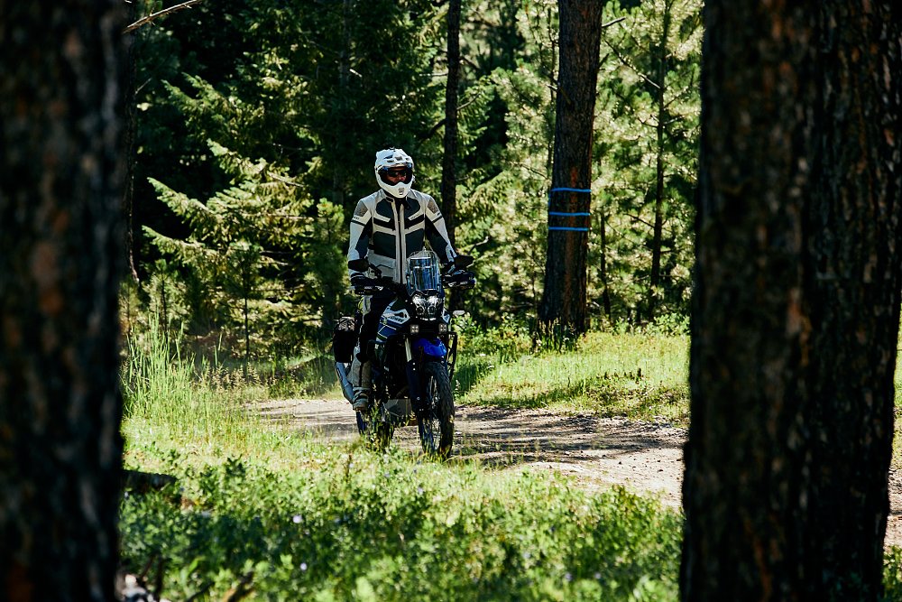 rider alone on a trail through an old forest