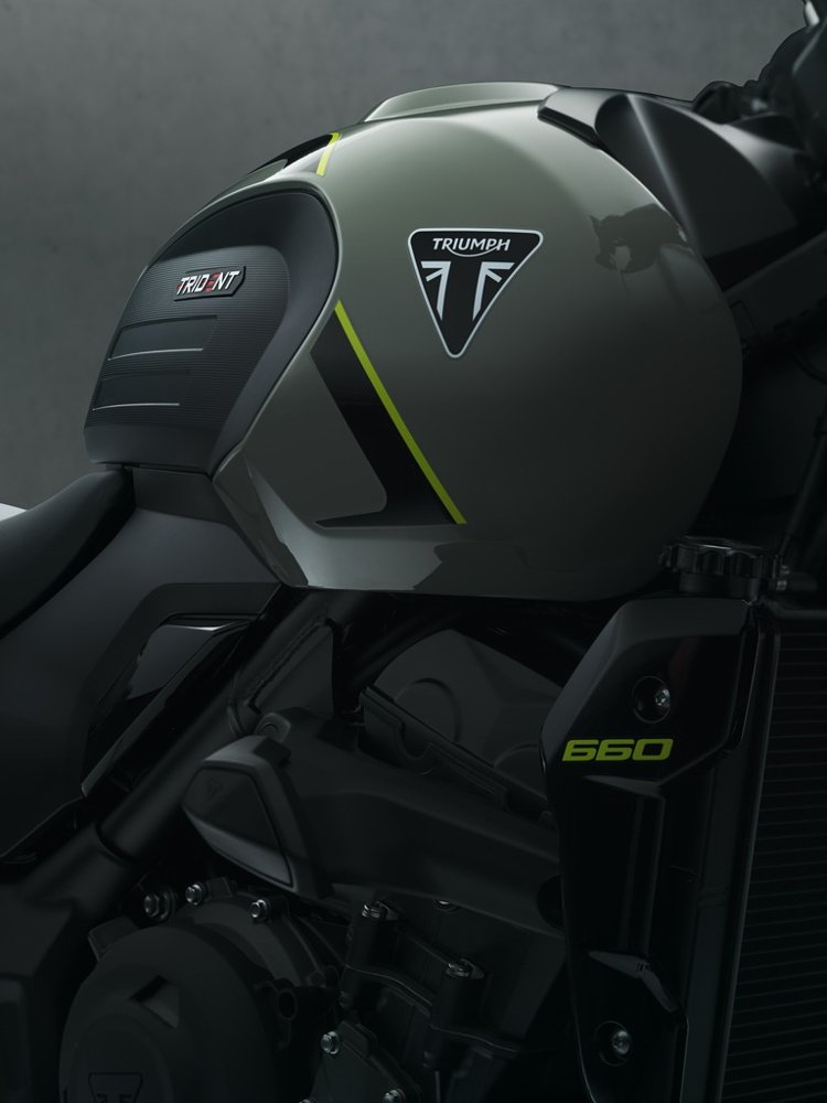 studio photo, close view of the gray-green tank with a yellow and black stripe