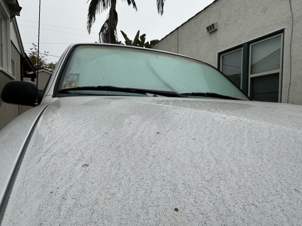 Close up on the dirt and grime stuck to the hood of a white pickup truck after sitting in a driveway for many months.