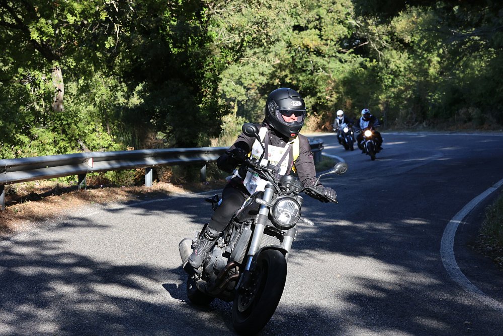 a group of riders on a curvy forest road in Italy