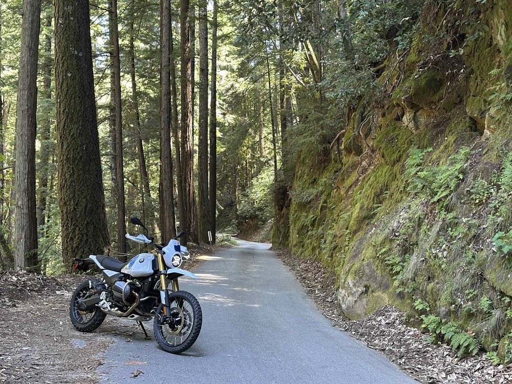 2026 BMW R 12 G/S posed on the side of a single-lane paved road weaving through a forest.