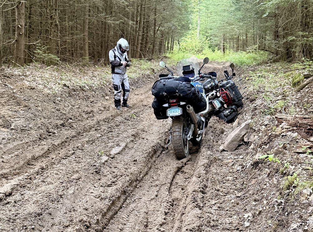 view of two motorcycles in the deep mud on the trail, one of them on its side as one rider looks on