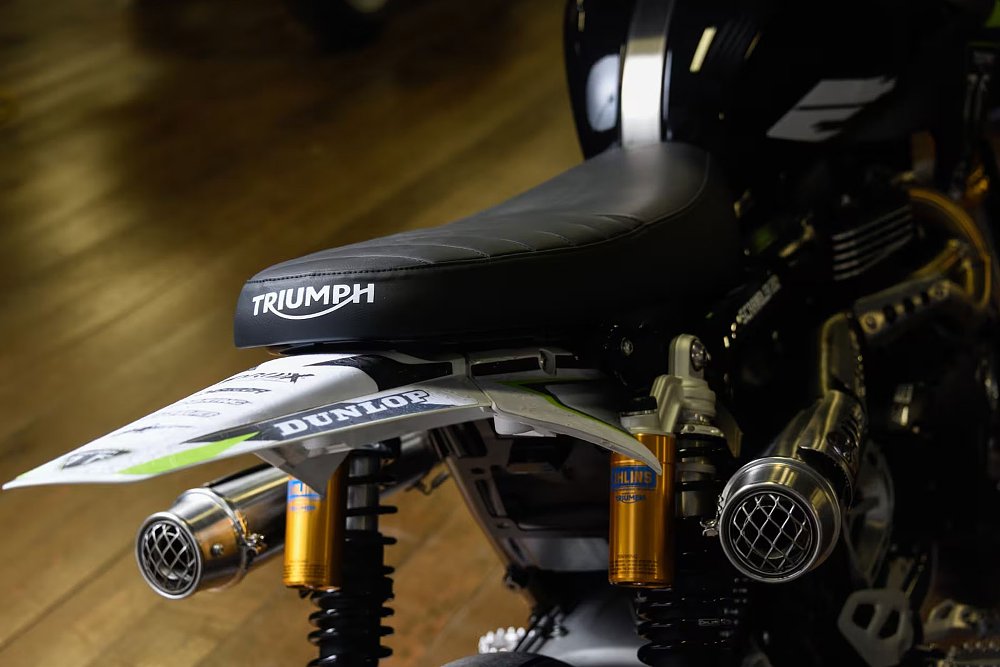 view of the slim tail section and Triumph-branded seat