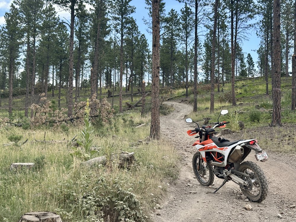 2026 KTM 690 Enduro R parked on a dirt road leading through the woods.