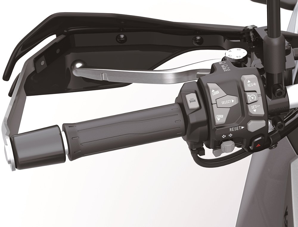 view of left hand grip and controls