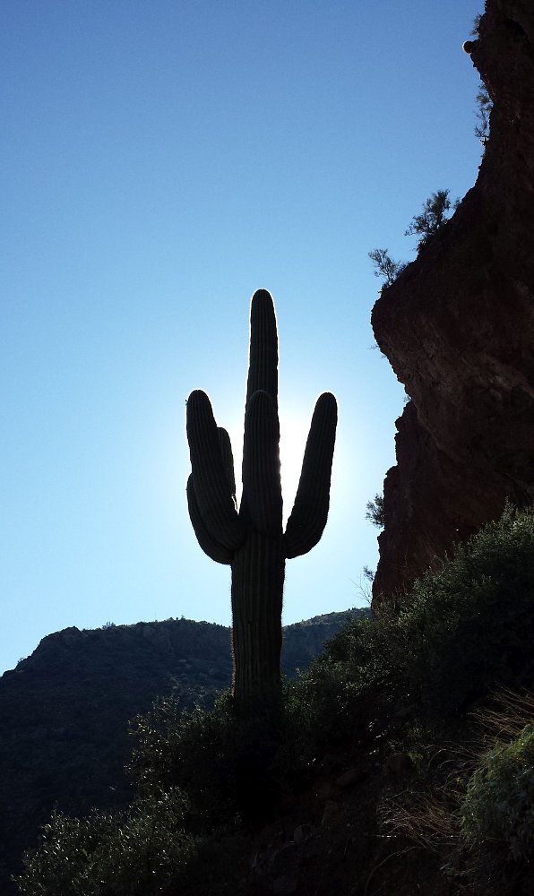 Tonto National Forest