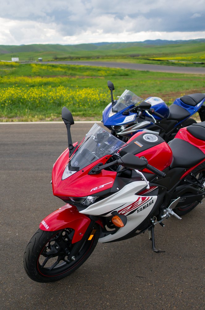 Yamaha R3