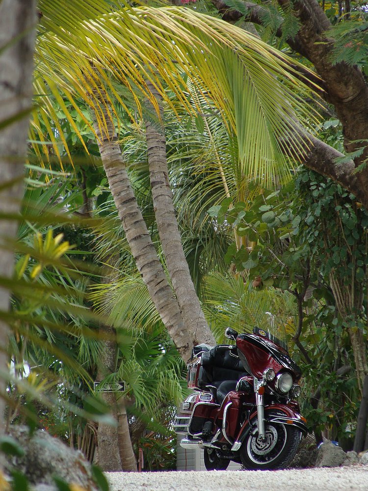 motorcycle beauty shot