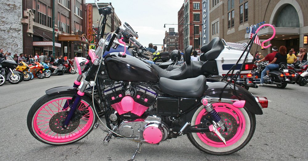 pink Sportster