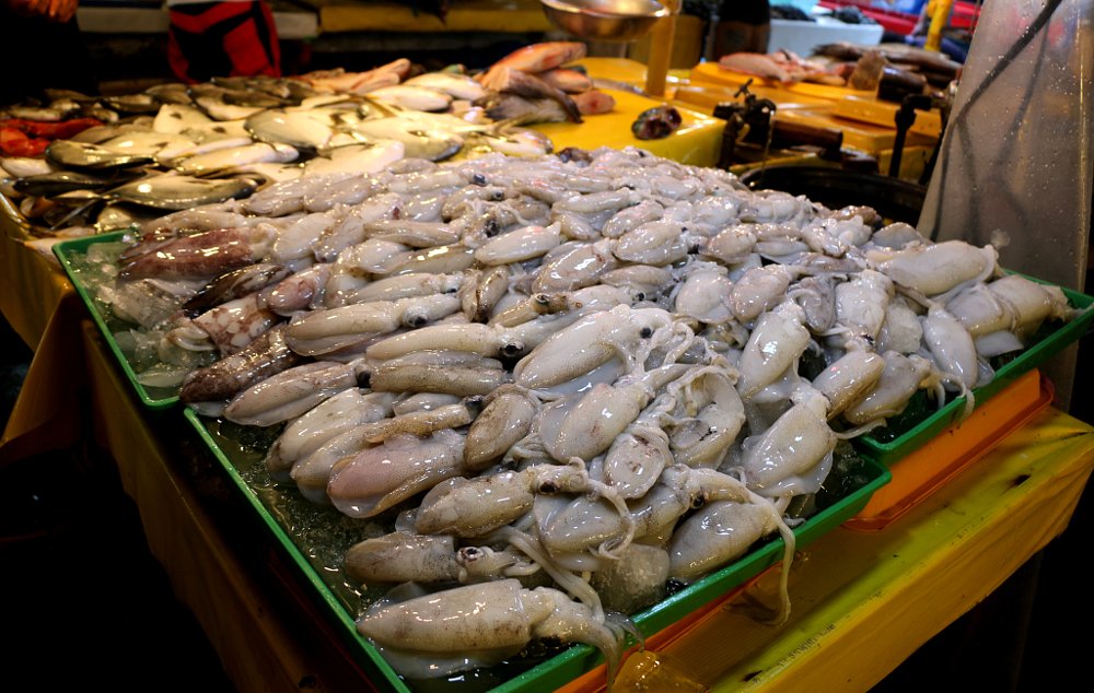 seafood in the market