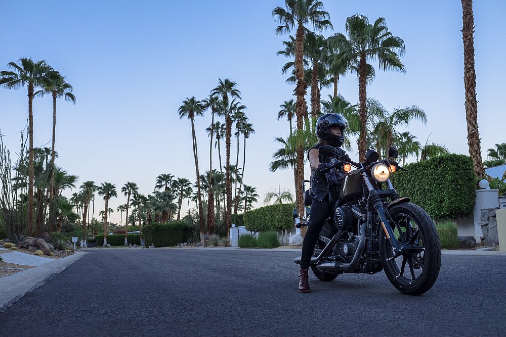 2016 Harley-Davidson Iron 883