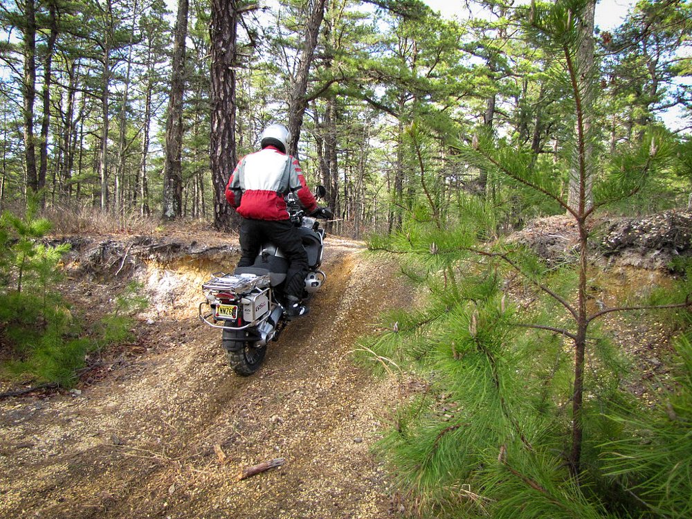 Pine Barrens Adventure Riding Camp