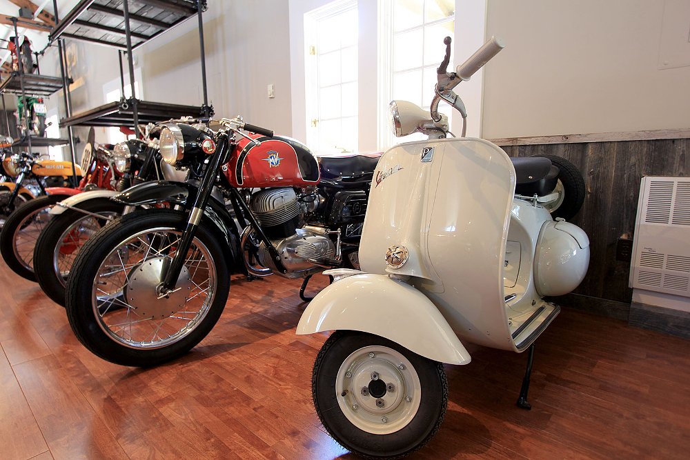 Moto Talbott collection
